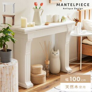 }gs[X [ gF CeA AeB[N uE 100cm ؍ gF Jo[ ͂ k   I bN ؐ VR X m [sA g 킢 