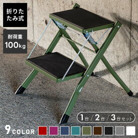 [クーポンで全品10%OFF] 踏み台 折りたたみ 子供 トイレ 2段 脚立 ステップ台 おしゃれ 踏台 洗面所 折り畳み 軽量 軽い 洗車 手洗い キッチン コンパクト スリム 屋外 滑り止め スチール はしご 耐荷重100kg シンプル 黒 白 ブラック ホワイト グレー グリーン