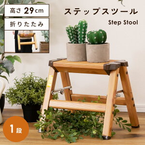 [N[|őSi10%OFF] ݑ 29cm r Xebv ܂肽 ͂ q A~ ؖڒ  Xc[ RpNg X ~j ω׏d100kg ܂  O  gC Lb`