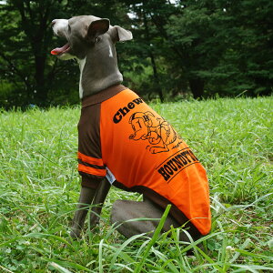 /l[C Atg O TVcy   C^O C^AO[nEh C^AOCnEh TVc  nEfB[Y HOUNDY'S zy[  z