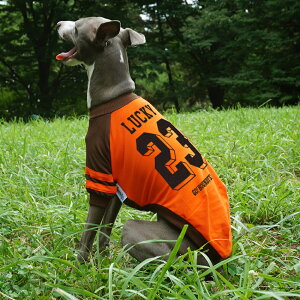 /wԍl[ OTVcy   C^O C^AO[nEh C^AOCnEh TVc  nEfB[Y HOUNDY'S zy[  z