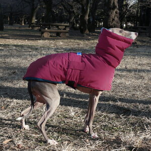 o[Vu I[o[R[g p[v×I[V   C^O C^AO[nEh C^AOCnEh R[g _E   nEfB[Y HOUNDY'S