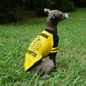 /l[C Atg O TVcy   C^O C^AO[nEh C^AOCnEh TVc  nEfB[Y HOUNDY'S zy[  z