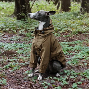 }EeWPbg y   C^O C^AO[nEh C^AOCnEh R[g _E   nEfB[Y HOUNDY'S z[ 