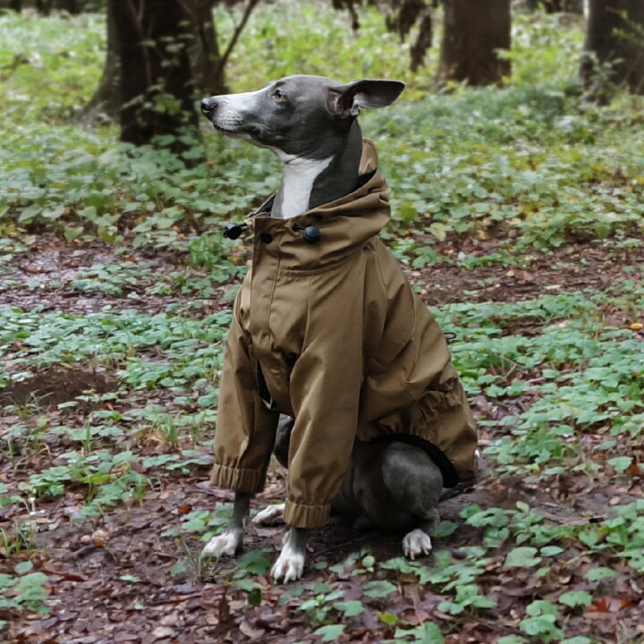 楽天市場】マウンテンジャケット 【 犬 服 イタグレ服 イタリアン 