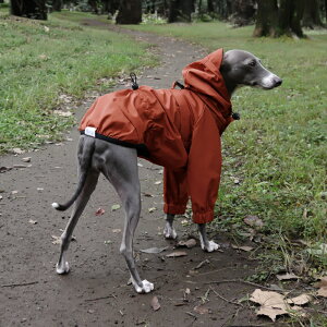 }EeWPbg y   C^O C^AO[nEh C^AOCnEh R[g _E   nEfB[Y HOUNDY'S z[ 