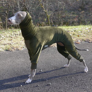 t[X p[X y   C^O C^AO[nEh C^AOCnEh p[X  nEfB[Y HOUNDY'S zy[  z