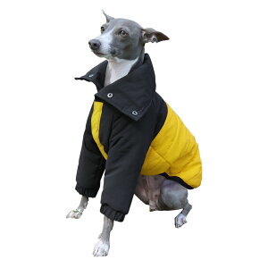 tB[h WPbg y   C^O C^AO[nEh C^AOCnEh R[g _E   nEfB[Y HOUNDY'S z