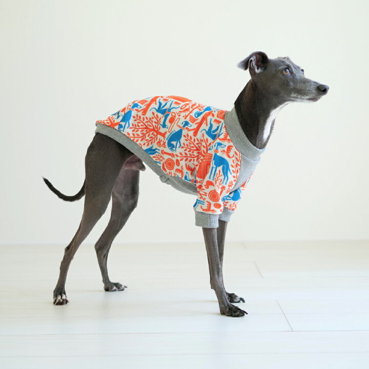 楽天市場】NDC ハーフ スリーブスウェット【 犬 服 イタグレ服 
