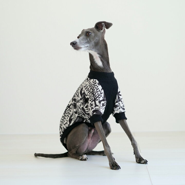 楽天市場】NDC ハーフ スリーブスウェット【 犬 服 イタグレ服 