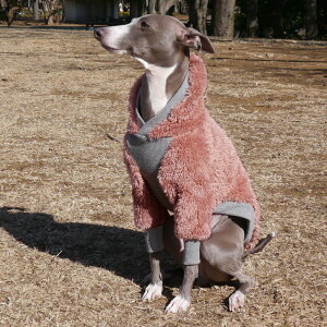 VM[t[Xt[fB[y   C^O C^AO[nEh C^AOCnEh p[J[  nEfB[Y HOUNDY'S zy[  z