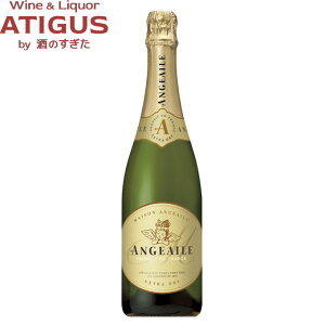 ] AWG[ GNXghC 750ml@b@tX Xp[NOC  h Tg[ Vg̃Xp[NOC