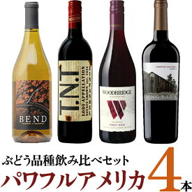 厳選「パワフルアメリカ　4本セットB」750ml×4　｜　赤 白 ワイン セット アメリカ カリフォルニア ベンド ロングバーン TNT