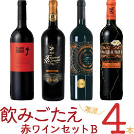 厳選「飲みごたえ赤ワイン4本　セットB」750ml×4　｜　赤 ワイン セット 飲み比 べマルケス デ トレド バラオンダ アリーバ トローノ フィンカ レオネホ スペイン イタリア