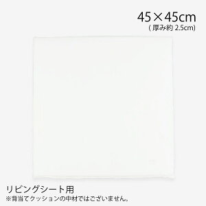 �V�[�g�N�b�V�������� ���r���O�V�[�g�p���� 45×45cm ���{�� �ȈՈ��k�|���G�X�e�� �k�[�h�N�b�V���� �z���C�g �� ���Y �I���W�i�� �쓇�D���Z���R�� LT1200