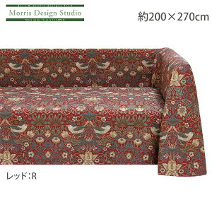 }`Jo[ \t@[ Jo[ 3l|  ` y󒍐Yiz I[_[ MORRIS ( EBA X ) D_ 200×270cm 쓇DZR  HV1710M