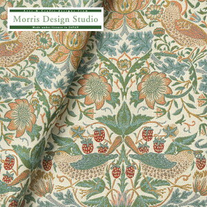 yz n z WJ[hD MORRIS i EBAX ) C`Sh{E 138cm 1×10cmP n zn { Y cO~   A NVbN ʐD |GXe Cg