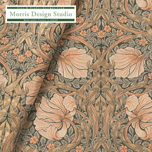 yz n z WJ[hD MORRIS i EBAX ) sp[l 142cm 1×10cmP n zn { Y nRx ԕ A NVbN |GXe sN 쓇DZ