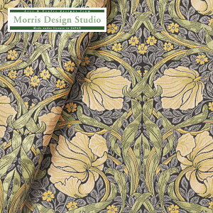 yz n z WJ[hD MORRIS i EBAX ) sp[l 142cm 1×10cmP n zn { Y nRx ԕ A NVbN |GXe O[ 쓇DZ