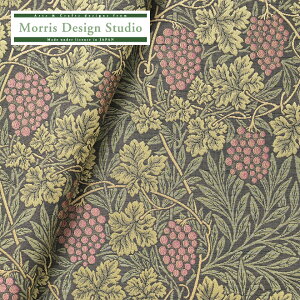 yz n z WJ[hD MORRIS i EBAX ) oC 145cm 1×10cmP n zn { Y Ԃǂ c^ A NVbN |GXe u[O[ 쓇DZR