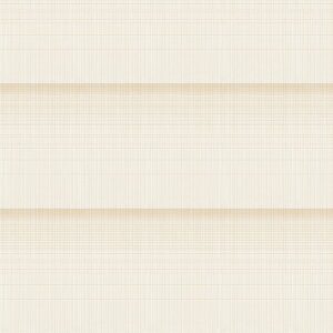 yz AEgbgn ݌ɂȂȂ莟抮 [X n z nM 150cm 1×1m P J[en zn  { Y 쓇DZR