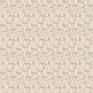 yz AEgbgn ݌ɂȂȂ莟抮 [X n z nM 146cm 1×1m P J[en zn  { Y 쓇DZR