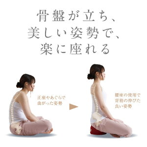 楽天市場 正座クッション Youza 腰座 03 レギュラー レッド 川島織物セルコン 送料無料 Kyuz613 03 川島織物セルコン デザインポート