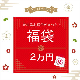 福袋　花　プリザーブドフラワー　花材　送料無料 花器 アートフラワー　ドライフラワー 手作り　キット　2万円 福袋