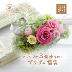  vU[uht[  ԍ Lbg   Mtg v[g vU[uh  ͂Ȃ j ̓ ̓ hV̓ a LO o^C zCgf[