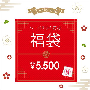  n[oE ԍ Lbg   r ԍ Mtg n[oE RpNg  v[g hV̓ ̓ ̓ zCgf[ a