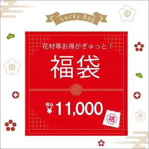 福袋 花 プリザーブドフラワー 花材 造花 送料無料 花器 アートフラワー ドライフラワー 手作り キット 1万円 福袋