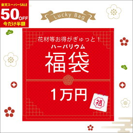 ＼楽天スーパーSALE50％OFF☆半額／福袋 ハーバリウム 花材 送料無料 手作り キット 瓶 花材 ギフト ハーバリュウム コンパクト おうち時間 趣味 プレゼント 母の日 お祝い 敬老の日