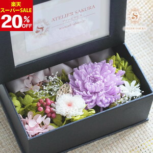 y20OFFyVX[p[SALEzvU[uht[  ʐ^ L tHgt[  vU[uh   蕨 ~ ~ V~ ފ r d Mtg  l\ 