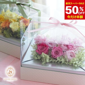 yzI50OFFyVX[p[SALEzvU[uht[ Mtg NX}Xv[g 蕨 t[Mtg   Mtg   a LO ސE AEj 