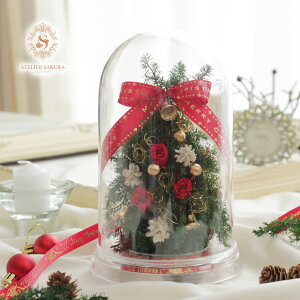 NX}Xc[   vU[uht[ h[ NX}X  NX}X Mtg v[g CeA 21cm 킢 NX}XG ~jc[  lC Vv 