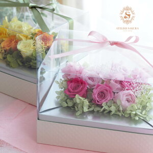 vU[uht[ Mtg hV̓ 蕨 t[Mtg   Mtg   a LO ސE AEj җj  v[g