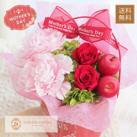 楽天市場 カーネーション 赤 プリザーブドフラワー 花 観葉植物 花 ガーデン Diyの通販