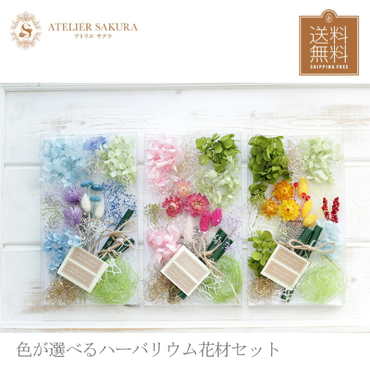 楽天市場】ハーバリウム 花材セット 送料無料 ギフト ハーバリウム 花 