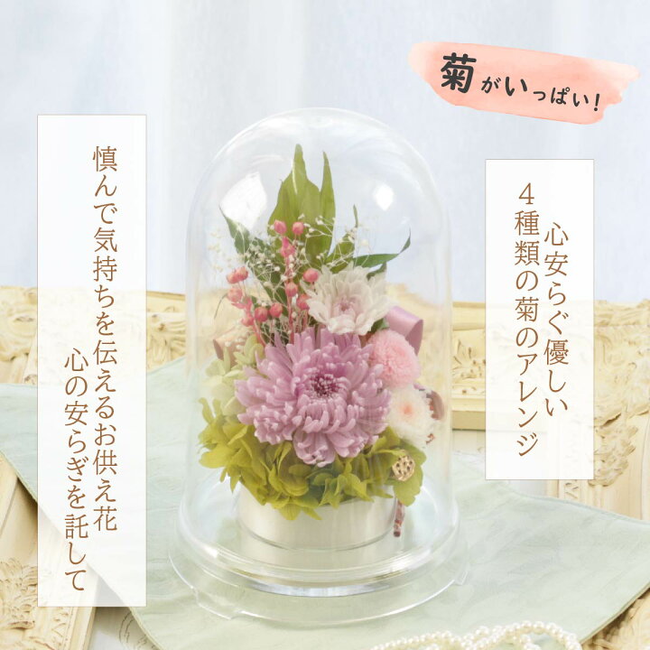 楽天市場 雑誌掲載 仏花 プリザーブドフラワードーム お供え 一対制作可 お悔やみ 枯れない花 供花 送料無料 菊 母の日 お彼岸 お盆 初盆 仏壇 ギフト ミニ 供え 樹脂 命日 大 四十九日 一周忌 ペット プレゼント プリザーブドフラワー ドーム 和花 アトリエサクラ