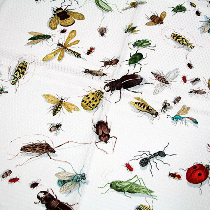 楽天市場】美品 エルメス HERMES カレ90 Insect 昆虫 大判スカーフ 白 