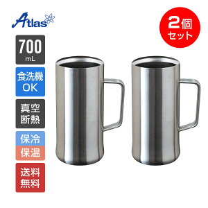 2Zbg yA AgX r[WbL 700ml ۗ ^fM H@Ή I[XeXr[WbL Oʃ}bgdグ  SinqsiVNXj ASJ-705MT2P