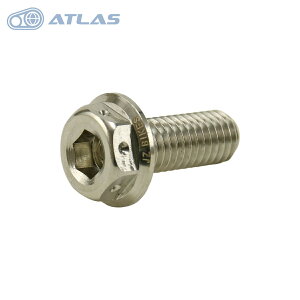 Star Bolt 6^ VOiX Ot@X GRYPHUS NMAX XMAXȂ u[LfBXN{g M8×20mm sb`1.25 SUS Vo[