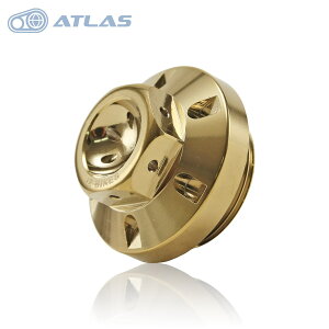 Star Bolt CYGNUS X GRYPHUS NMAX TRICITY X FORCEȂ ̓}Olbgt ICXg[i[Lbv IChCvO PVD`^R[g S[h