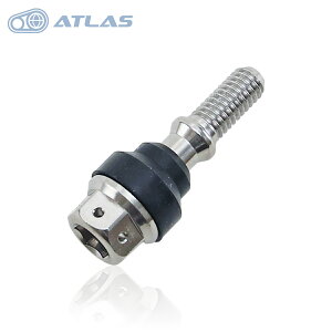 JSM Star Bolt VOiXX }WFXeBS SMAX BW'S GTR NNP[XJo[{g M6×30mm P1.0mm 1{ SUS Vo[