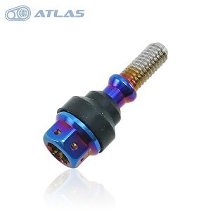JSM Star Bolt VOiXX }WFXeBS SMAX BW'S GTR NNP[XJo[{g M6×30mm P1.0mm 1{ PVD`^R[g q[g`^