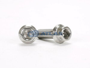 JSM Star Bolt CNC加工 ヘキサゴンヘッド SUS ステンレス ボルト M6×20mm P1.0mm