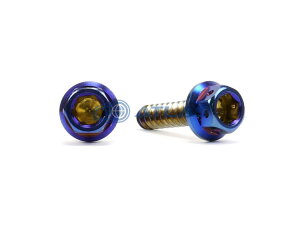 Star Bolt CNC加工 ヘキサゴンヘッド SUS PVDチタンコート タッピングスクリュー M5×20mm 焼き色ブルー仕上げ