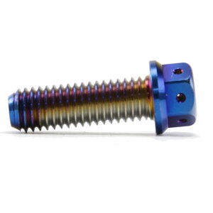 Star Bolt CNCH wLTSwbhSUS PVD`^R[g{gtlW lW M8×25mm P1.25mm