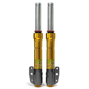 RPM GII LS 2`5^VOiXX CYGNUS X BW'S125 BW'S X BW'S R tgtH[N 40mmsb`Lp[T|[gZbg