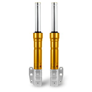 RPM DOUBLE R 2`3^VOiXX CYGNUS X tgtH[N S[h